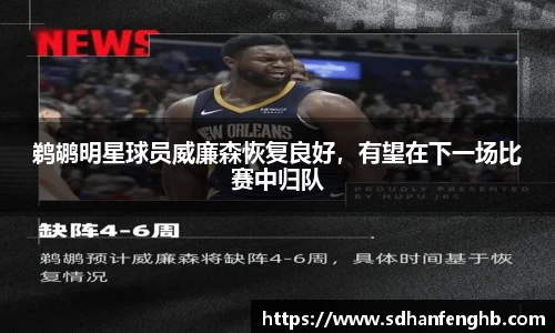 鹈鹕明星球员威廉森恢复良好，有望在下一场比赛中归队