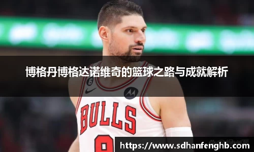 博格丹博格达诺维奇的篮球之路与成就解析