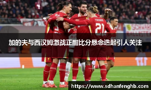 加的夫与西汉姆激战正酣比分悬念迭起引人关注