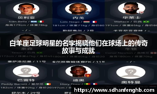 必一运动bsports体育
